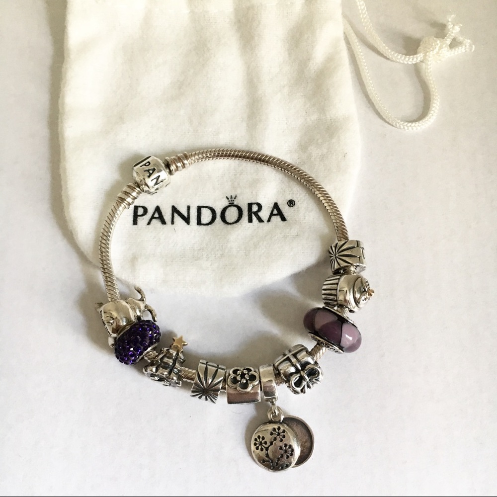 Pandora Bracelet + 10 Charms